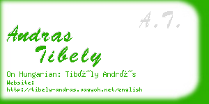 andras tibely business card